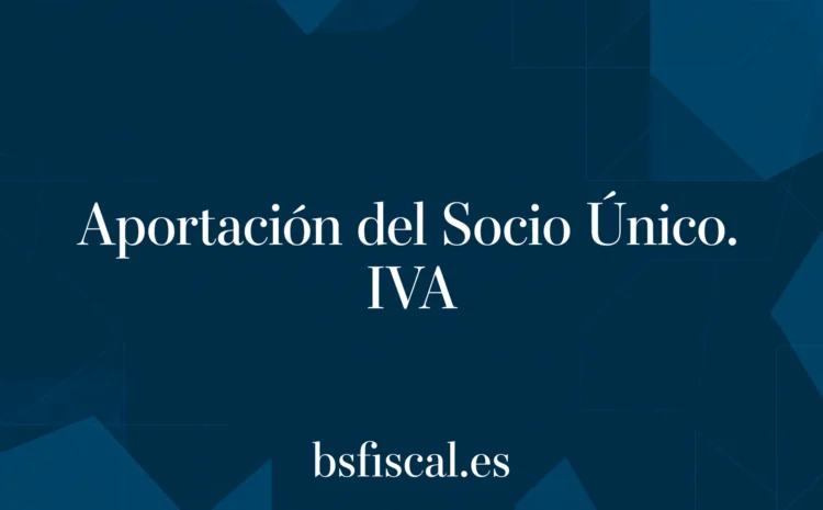  Aportación por el Socio Único. Asunto T-413/25.