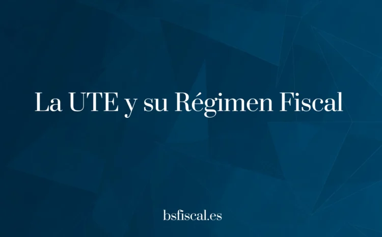 La UTE y sus miembros. Visión completa.