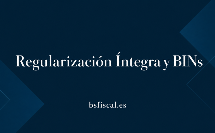  Caso Práctico. Regularización Íntegra y BINs