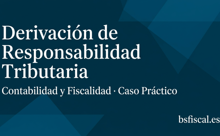  Derivación de Responsabilidad y Contabilidad. Caso Práctico
